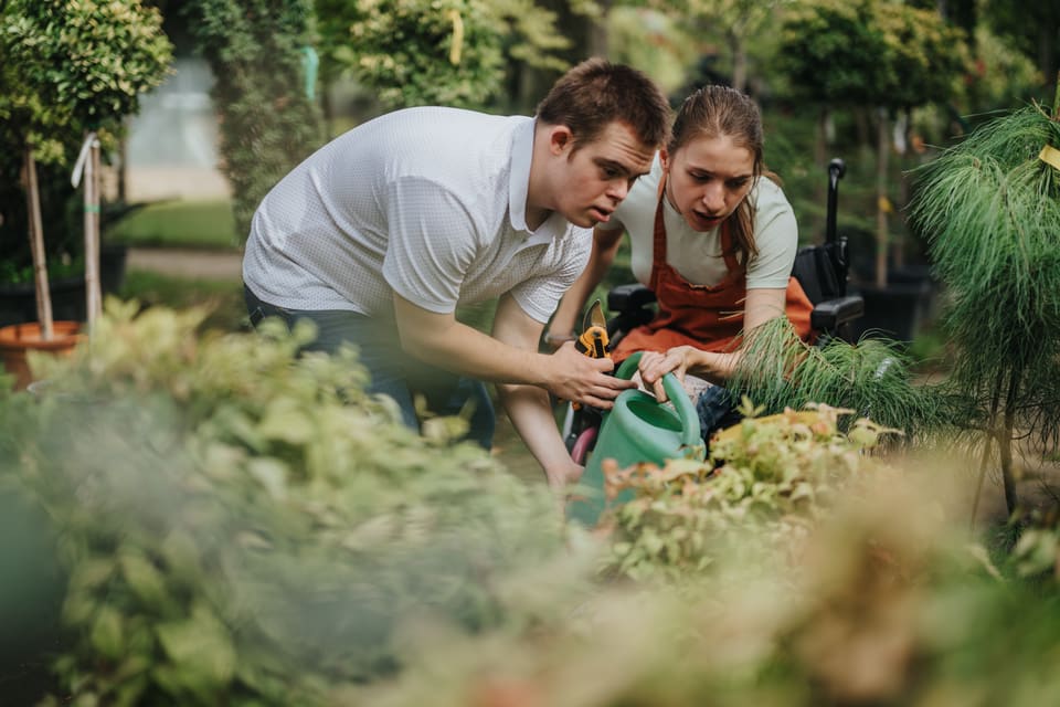 A group gardening together