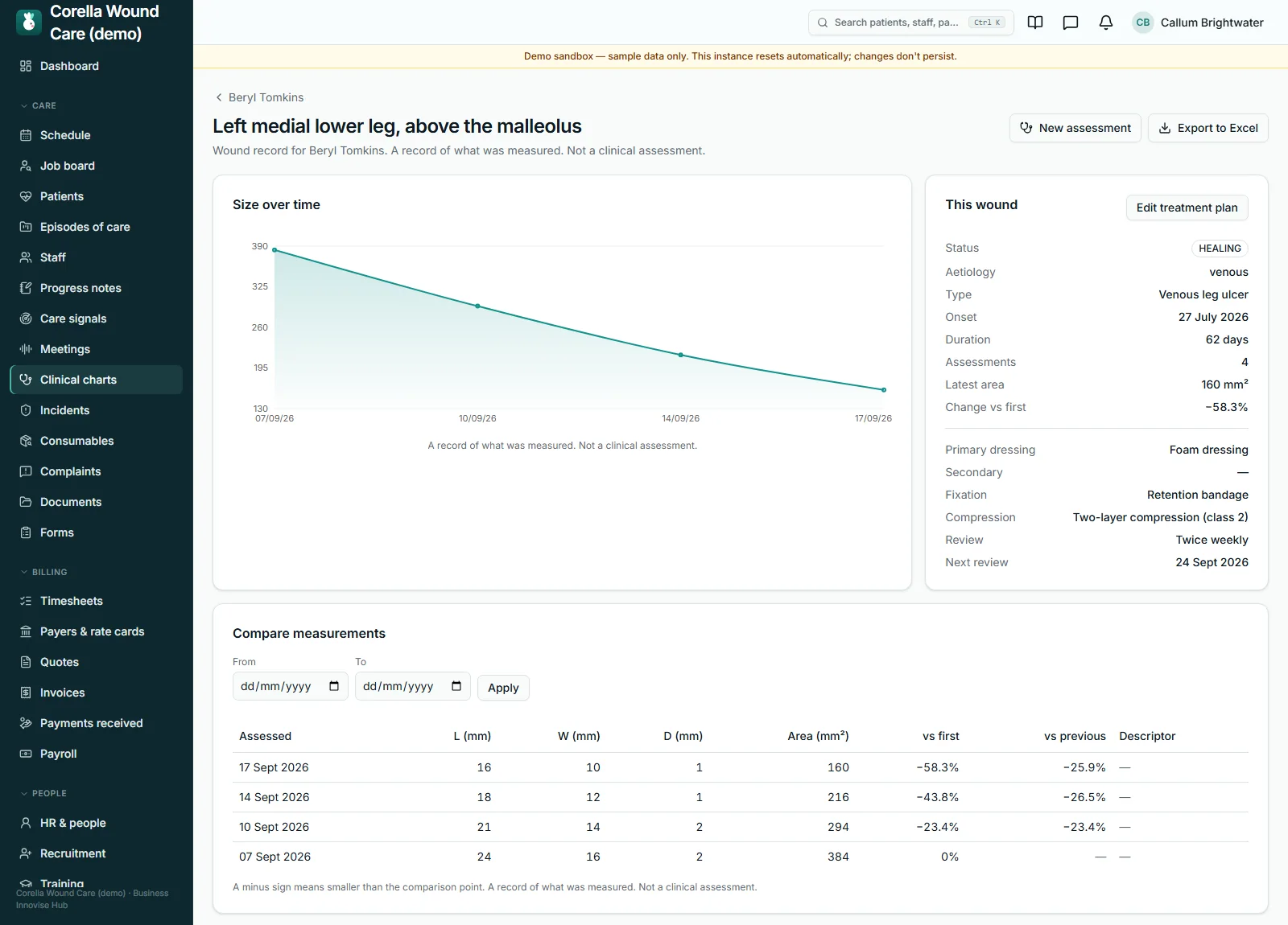 A wound's record in the wound care demo: its size over four visits as a line falling from 384 to 160 square millimetres, the wound's details and dressing plan, and the measurements table with the change against the first and the previous measurement